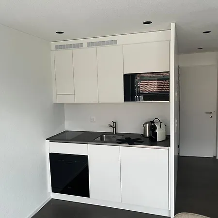 Neue In Der Naehe Vom Oeschinensee Und Der Jungfrau Region *