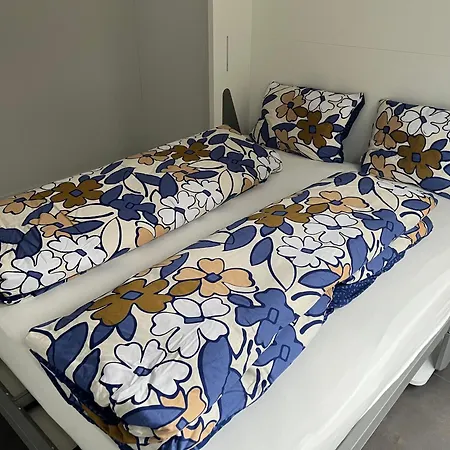 Apartmán Neue In Der Naehe Vom Oeschinensee Und Der Jungfrau Region *