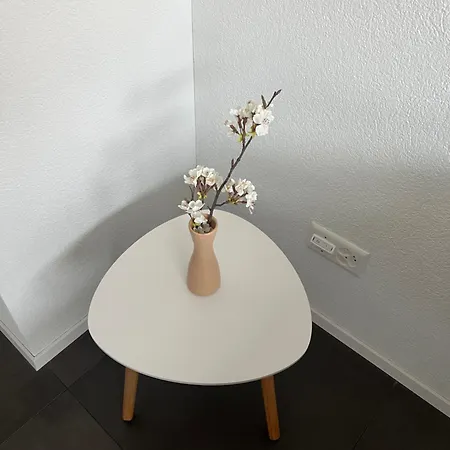 Neue Helle Mit Bergblick 15 Minuten Von Interlaken&jungfrau Region Aeschi Bei Spiez