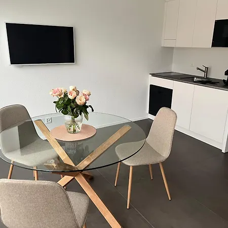 Neue Helle Mit Bergblick 15 Minuten Von Interlaken&jungfrau Region Apartment