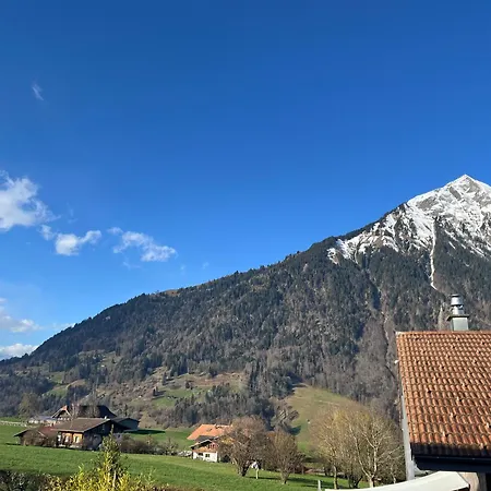 Neue Helle Mit Bergblick 15 Minuten Von Interlaken&jungfrau Region *
