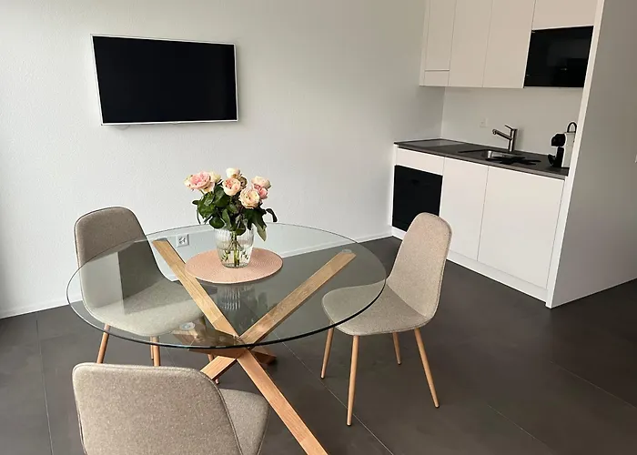 Neue In Der Naehe Vom Oeschinensee Und Der Jungfrau Region * Aeschi Bei Spiez